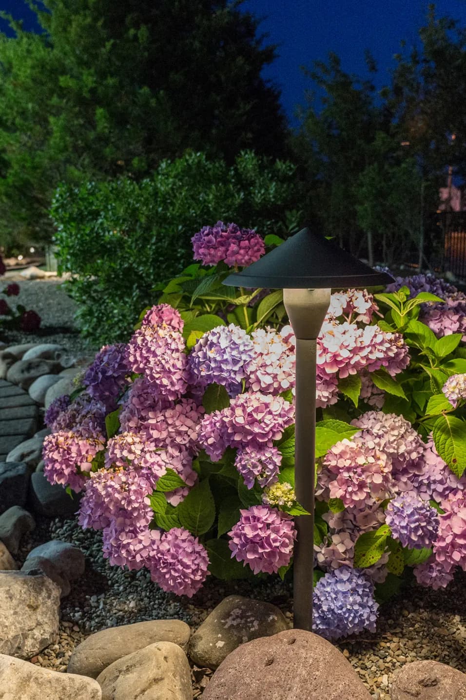 Coastal Source Path & Area Lights — outdoor landscape lighting