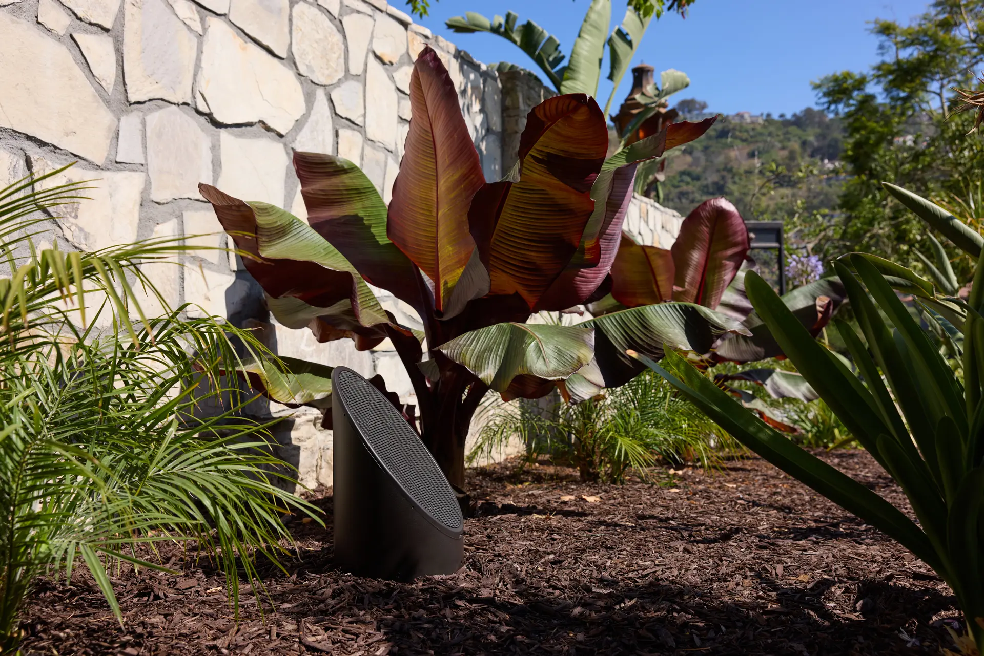 A Coastal Source bollard speaker tucked into the planting beds, barely visible