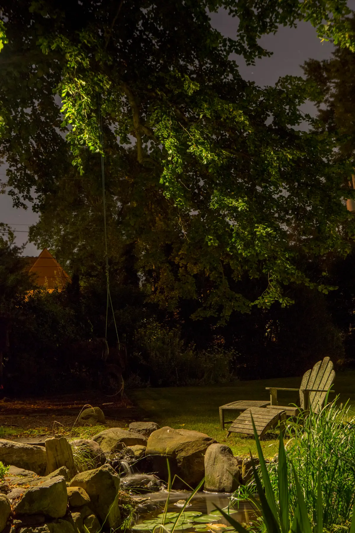 Soft, dappled downlight falling through a canopy onto a lawn, like moonlight